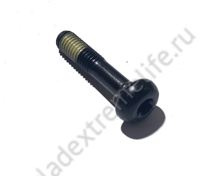 Винт Torx с полукруглой головкой M8 × 38